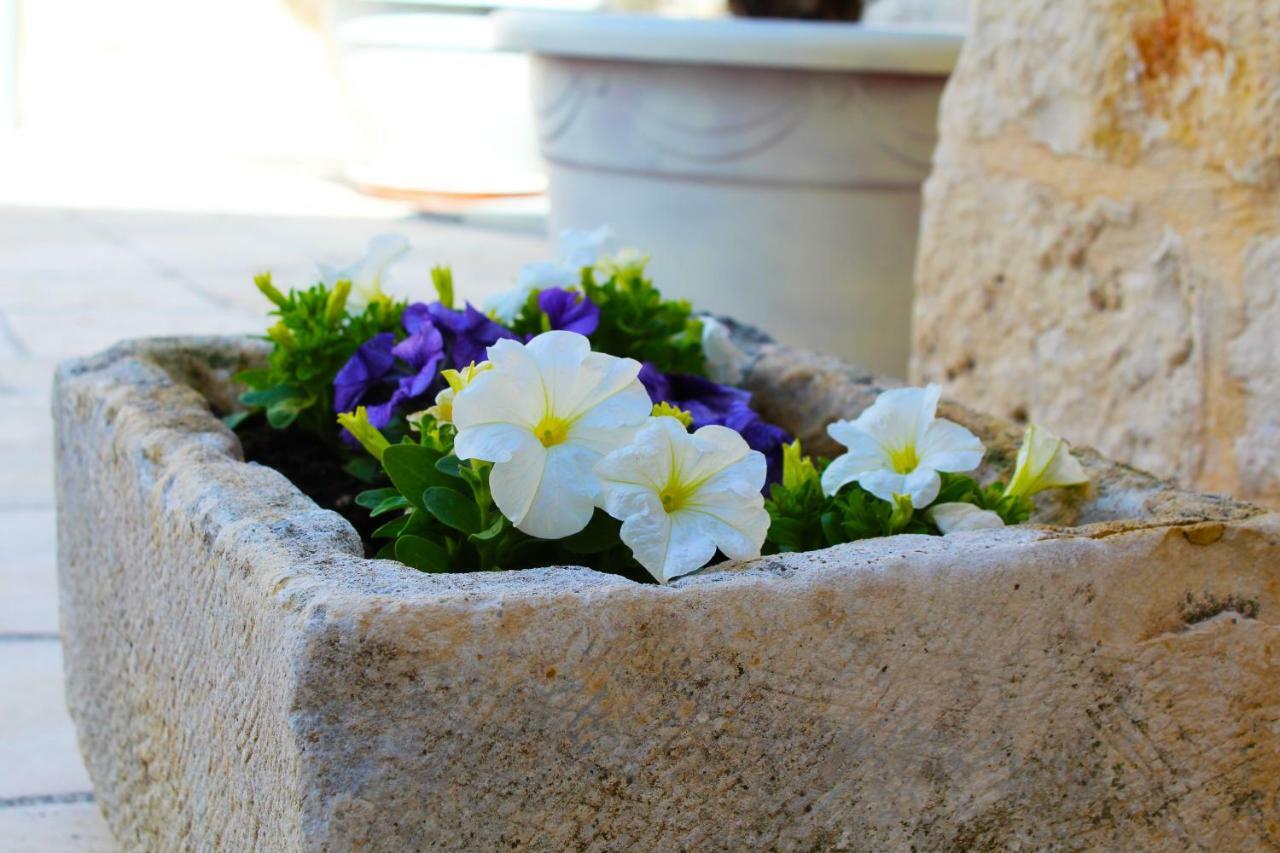 Bed and Breakfast Trulli Antica Fonte Alberobello Exterior foto