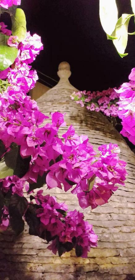 Bed and Breakfast Trulli Antica Fonte Alberobello Exterior foto